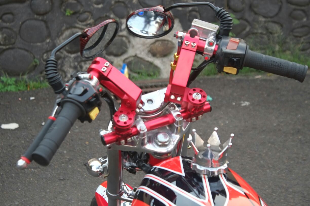 Modifikasi Honda Tiger Revo Ini Dia Tiger GP Otoinfoid