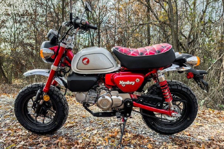 Panduan Lengkap! Fitur, Spesifikasi, dan Harga Honda Monkey 2024
