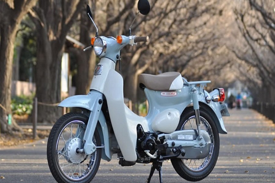 Wah! Honda Rilis Little Cub 50cc di Indonesia! Desain Klasik dengan Performa Modern, Harganya Bikin Kaget!