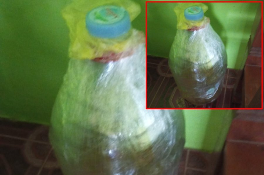 Foto BBM Hantu Laut, Dikirim Frendy Setia