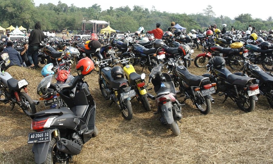 rx king 1