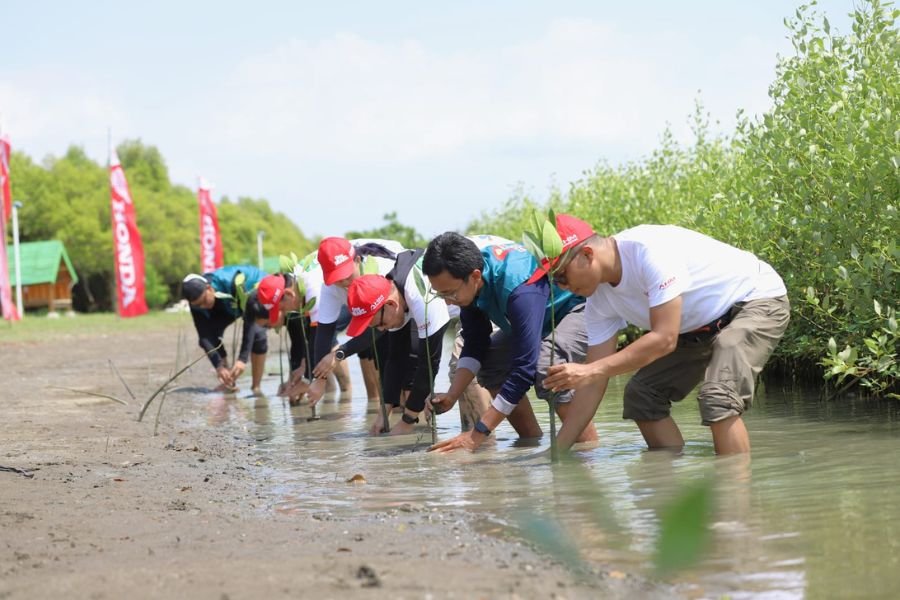 Aksi Nyata! Karyawan AHM Tanam 12.000 Pohon Mangrove di Karawang Demi Wisata Hijau dan Lawan Krisis Iklim