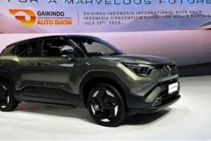 Suzuki e Vitara