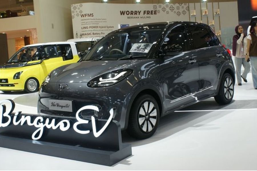 Kasus Petisi Pemilik Wuling Binguo EV Memanas, 830 Konsumen Desak Kompensasi Jutaan Rupiah