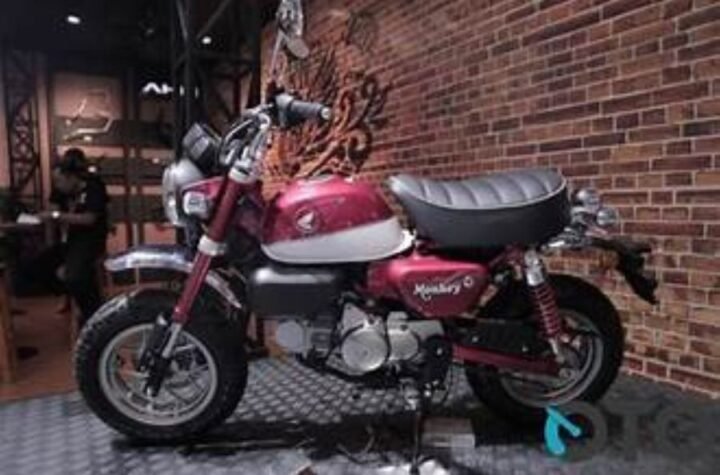 Honda Monkey 2025: Motor Mini Retro dengan Mesin 125cc, Cocok untuk Kolektor!